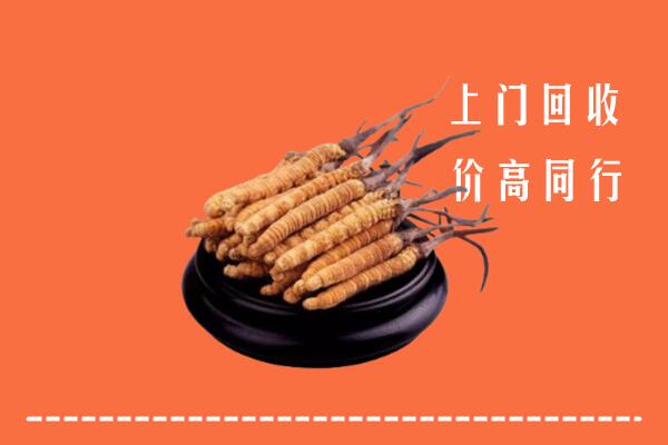 收购行情：康平县冬虫夏草回收多少钱每克